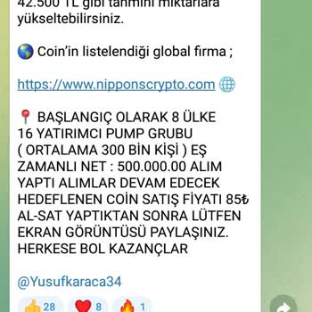 Nippon Crypto Telegram Sayfasında Yaşanan Sorunlar