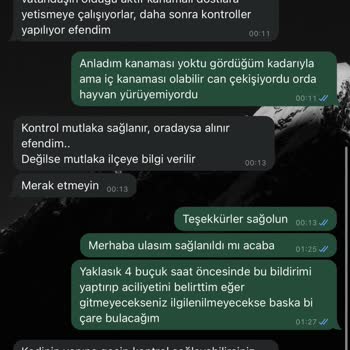 İBB Hayvan Veterinerliği İlgisizliği