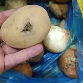 Şok Market Personel Çalışma Sıkıntısı