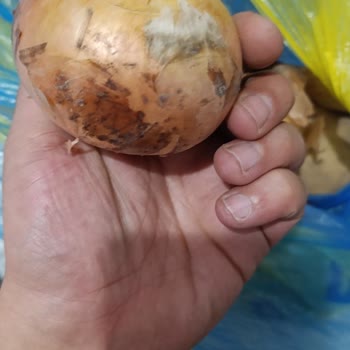 Şok Market Personel Çalışma Sıkıntısı