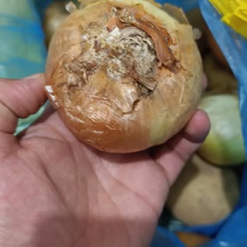 Şok Market Personel Çalışma Sıkıntısı