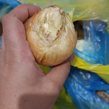 Şok Market Personel Çalışma Sıkıntısı