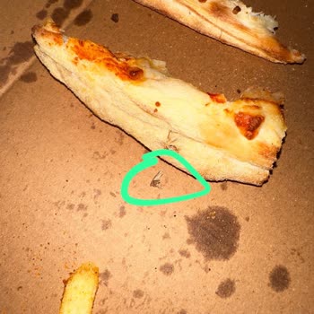 Terra Pizzada Sinek Var