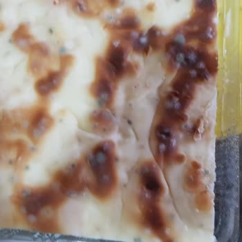 Tepe Nautilus Carrefour'dan Alınan Su Böreği 1 Gün İçinde Küflendi