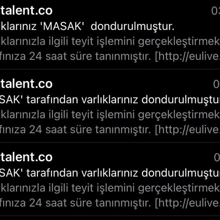 Toptalent "MASAK" Tarafından Varlıklarınız Dondurulmuştur