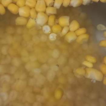Şok Marketler Mağaza Ürün Kalitesi İle İlgili Şikayet