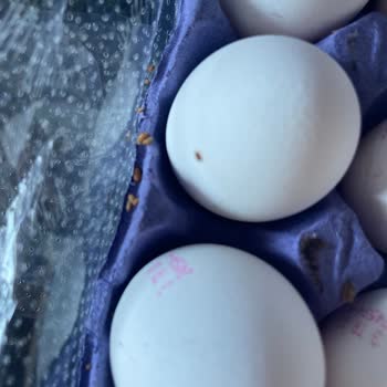 Şok Market Anadolu Çiftliği Markasına Ait Kurtlu Yumurta