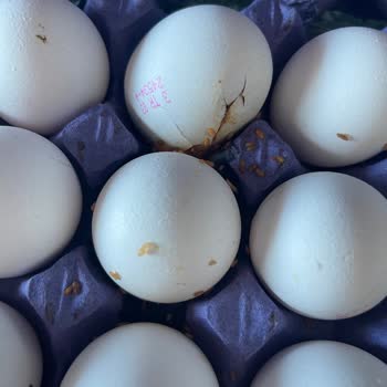 Şok Market Anadolu Çiftliği Markasına Ait Kurtlu Yumurta