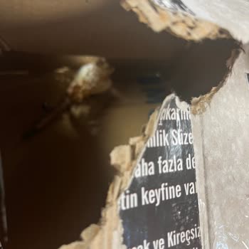 Sürat Kargo Yanlış Teslimat Ve İlgisiz Müşteri Hizmetleri