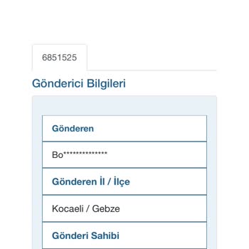 Borusan Lojistik Elime Ulaşmayan Kargo