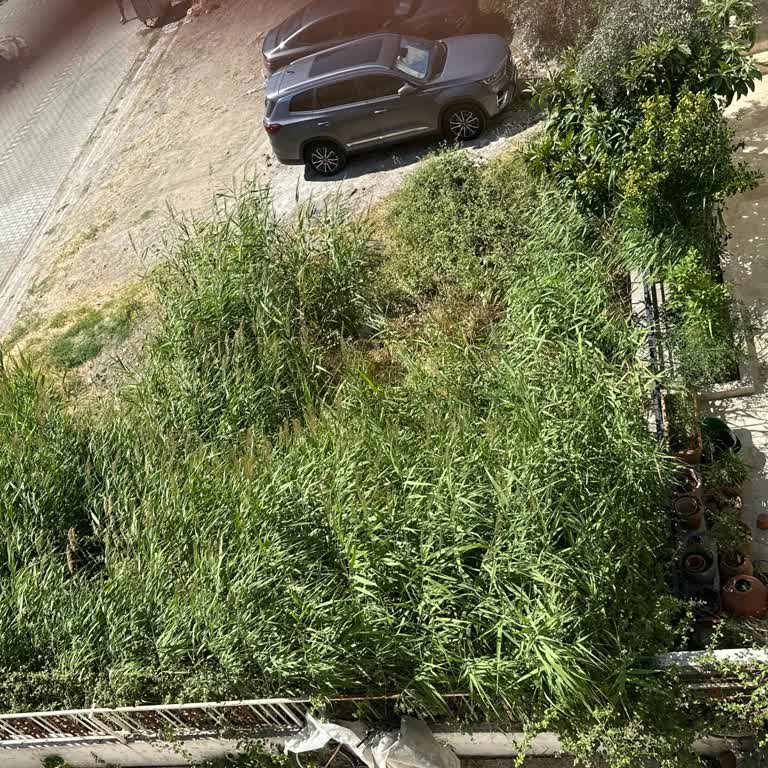 Edremit Belediyesi Talep Ve Şikayetleri Karşılamıyor