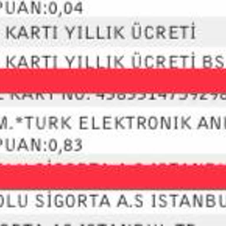 Param Türk Elektronik Ankara