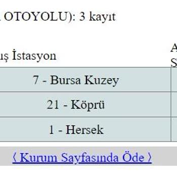 Otoyol A.Ş Otoyol A. Ş. İhlali Geçişi Cezasız Sürede Ödememe Müsaade Etmiyor.