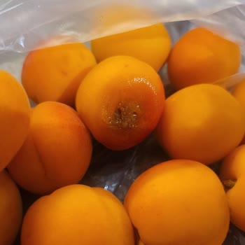 Şok Market İçler Acısı