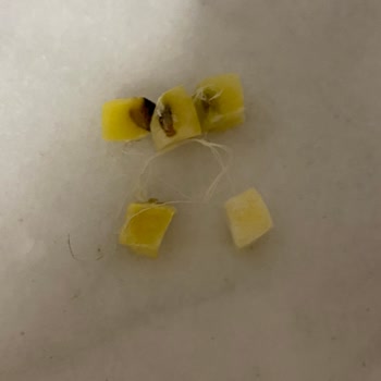 Sanpa Gıda ( Donuk Market ) Sanpa Gıda Kötü Ürün