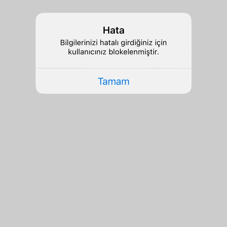 ING Mobil Bankacılık Şifre