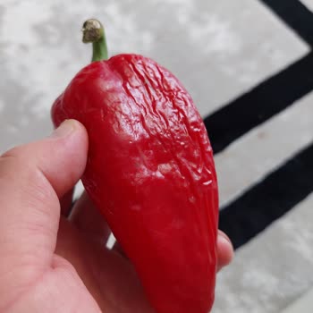 Carrefour SA Beylikdüzü Beyhill Şubesi