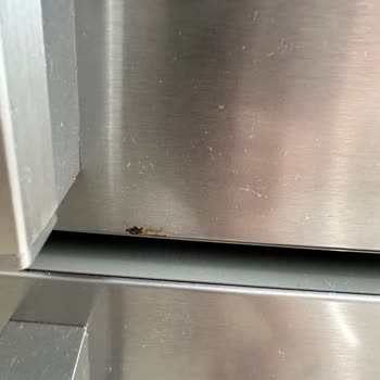 Beko Beyaz Eşyalarım Paslanıyor!