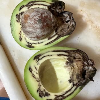 Migros Çürük Mal Gönderiyor