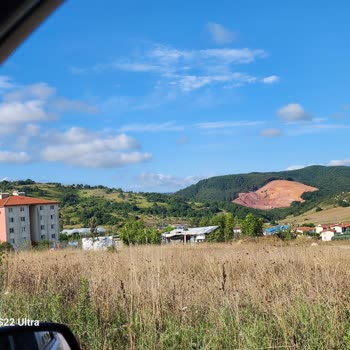 Kandıra Belediyesi Kandıra Ormanlarının Talan Edilmesine Dur Deyin!