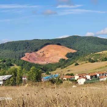 Kandıra Belediyesi Kandıra Ormanlarının Talan Edilmesine Dur Deyin!