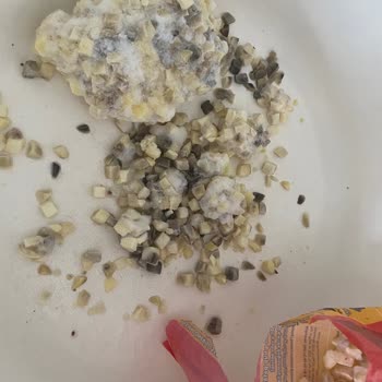 Superfresh Firmasının Yaşattığı Hayal Kırıklığı