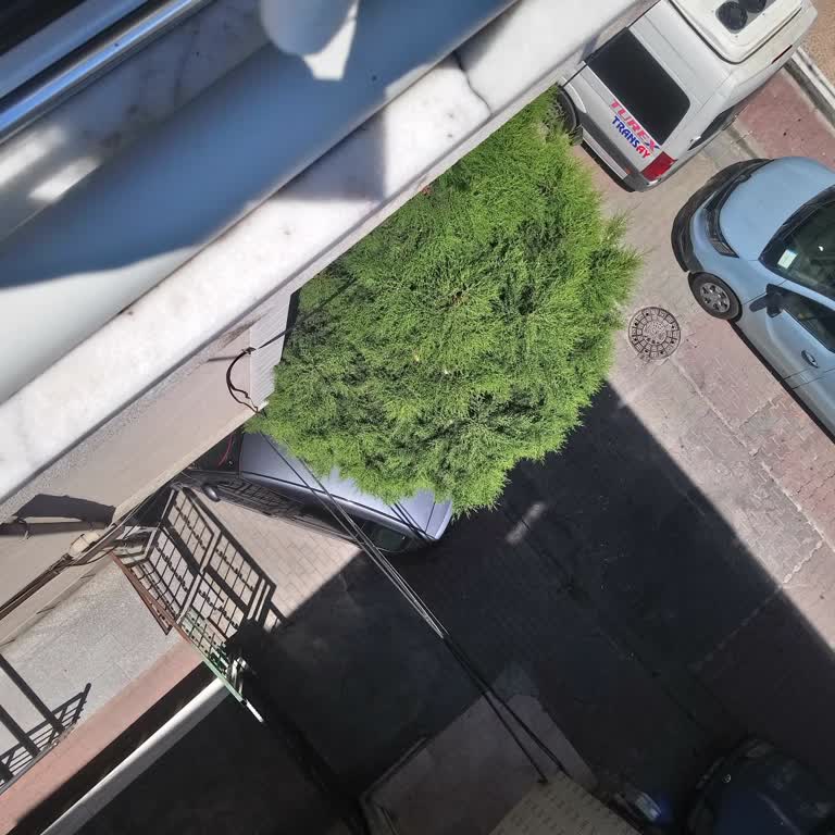 Küçükçekmece Belediyesi Kaldırım Mantarı Yapılmasını İstiyorum Acilen