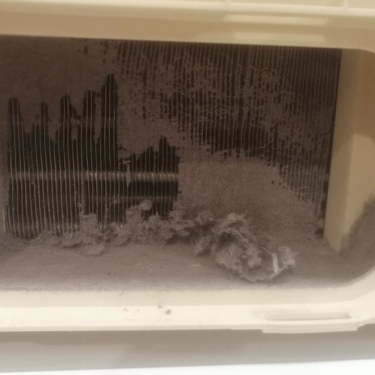 Süzgeci Olmayan Hoover Kurutma Makinesi