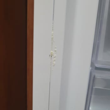 Vestel Yeni Alınan Regal Buzdolabı Hatalar Silsilesi