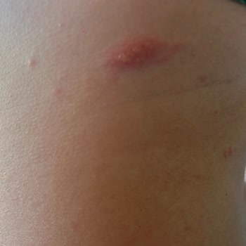 Grand Cortez Resort Hotel Grand Cortez SPA Asla Tavsiye Değil Paramıda Helal Etmiyorum