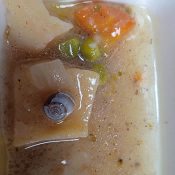 Silifke Devlet Hastanesi Yemekte Salyangoz Var