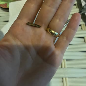 Samsu Börek Dikkatsizliği Çok Şaşırttı