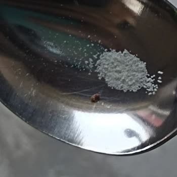 Sma Mama Böcek Çıktı