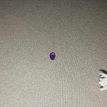 Blue Diamond Haksız Yere Alınan 20 Dolar, Kaldırıldık