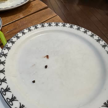 Reyhan Pastanesi Çeşme'deki Pastaneden Beklenmedik Sürpriz