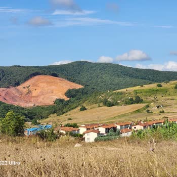 Kocaeli Büyük Şehir Belediyesi Nin Göz Yumduğu Yok Olan Ormanlar