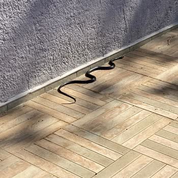 Side Orange Paradise Hotel Memnuniyetsizliği