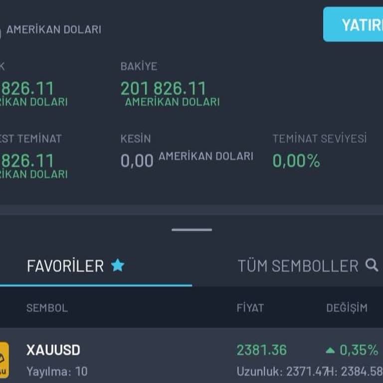 Sint Market Yatırım Hikayesi!