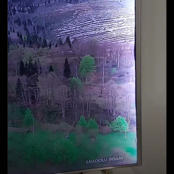 Samsung Yedek Parça Temini Yok