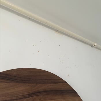 VM Resort Hotel Mersin Müşteri Memnuniyeti Sıfır!