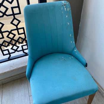 Yeşil Nesil World Tour Faciası!