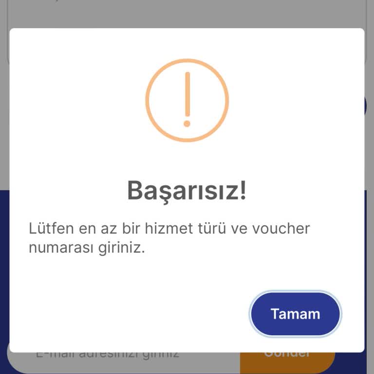 Feribotlines Tur Paketi Dönüş Sağlanmıyor