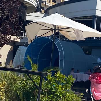 Maxwell Resort Hotel & Spa Tatil Deneyimi Değerlendirmesi