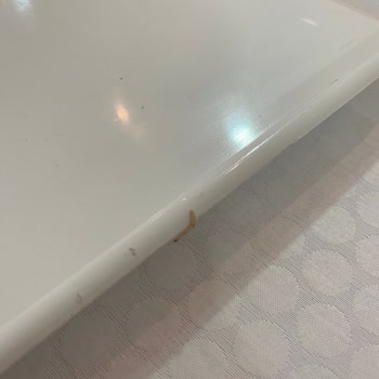 Prontotour Pronto Budva Turu