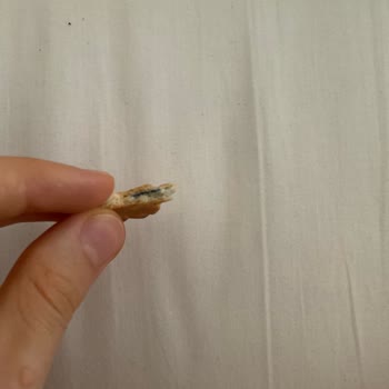 Eti Gıda Eti Bisküvide Plastik