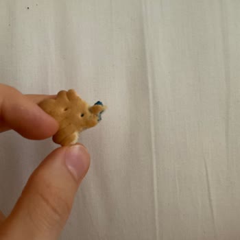 Eti Gıda Eti Bisküvide Plastik