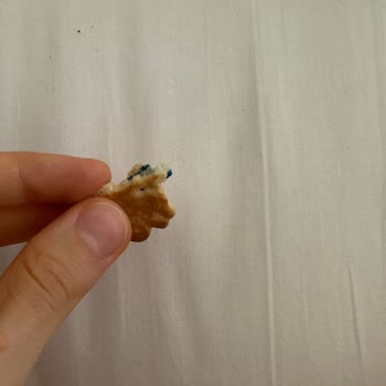 Eti Gıda Eti Bisküvide Plastik