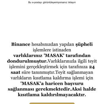 Sunexpress MASAK Spam Mailleri 15.07.2024