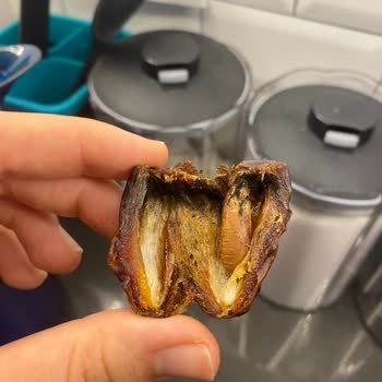 Simbat Kuruyemiş Küflü Hurma Ve Bozuk Hurma