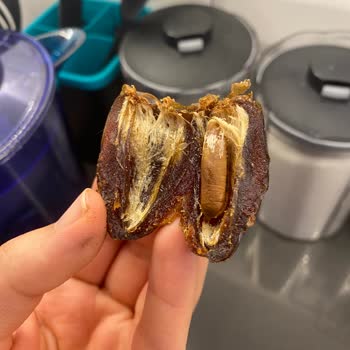 Simbat Kuruyemiş Küflü Hurma Ve Bozuk Hurma